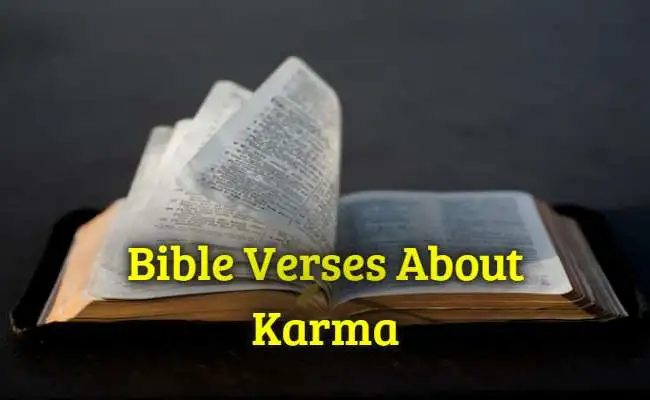 Bible Verses About Karma