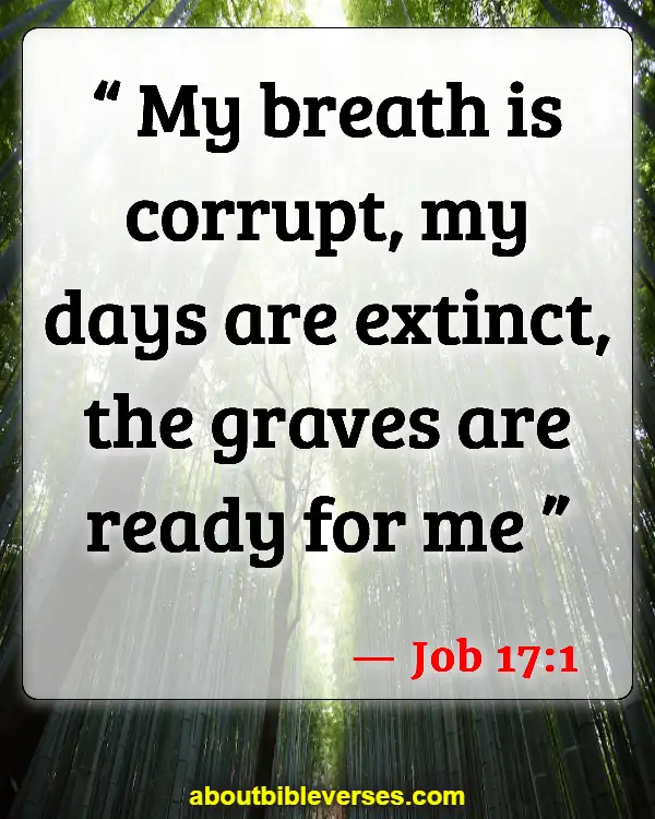 Bible Verses About Life Begins At The First Breath (Job 17:1)
