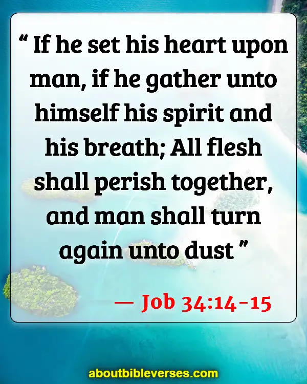 Bible Verses About Life Begins At The First Breath (Job 34:14-15)