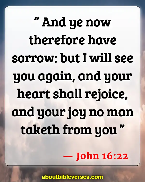 Bible Verses About Missing Someone (John 16:22)