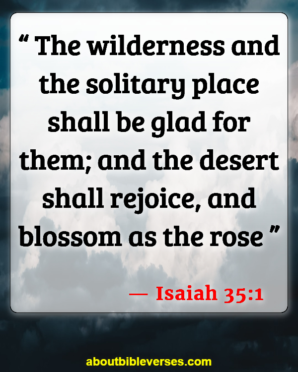 Bible Verses About Rose Of Sharon (Isaiah 35:1)