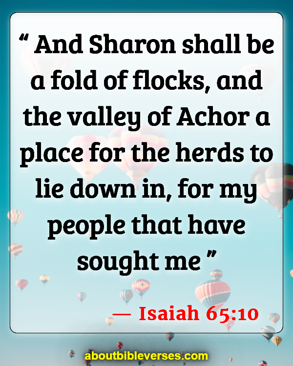 Bible Verses About Rose Of Sharon (Isaiah 65:10)