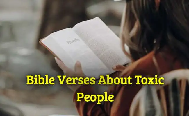 Bible Verses About Toxic People