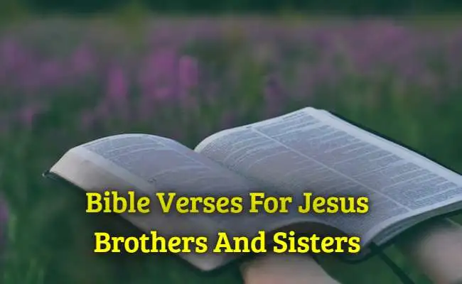 Bible Verses For Jesus Brothers And Sisters