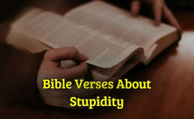 [Best] 38+Bible Verses About Trials Making Us Stronger - KJV